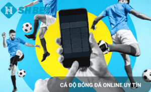 Biến động kèo Shbet