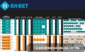 Đọc kèo bóng shbet