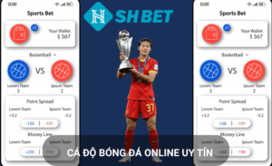 Hiểu kèo bóng Shbet